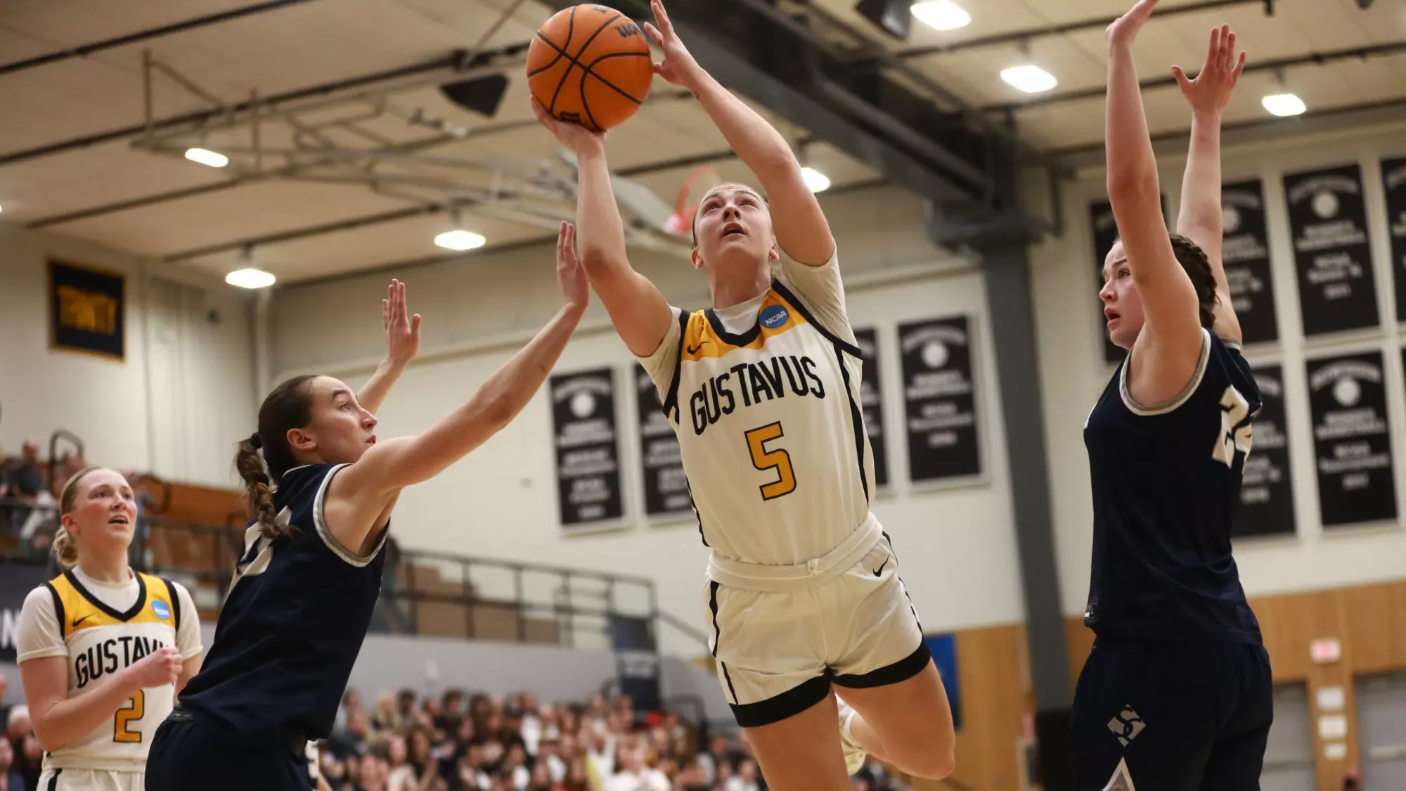 ncaa-womens-basketball-all-time-assist-leaders-dishing-out-success-and-making-history