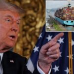 Trump's Treasury boss visits NY diner