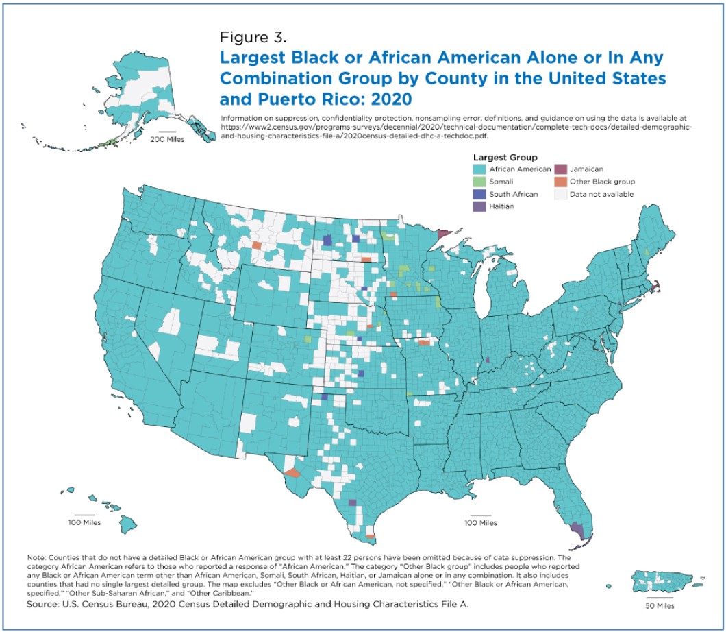 New the majority of Black Americans claim they never fly the US flag