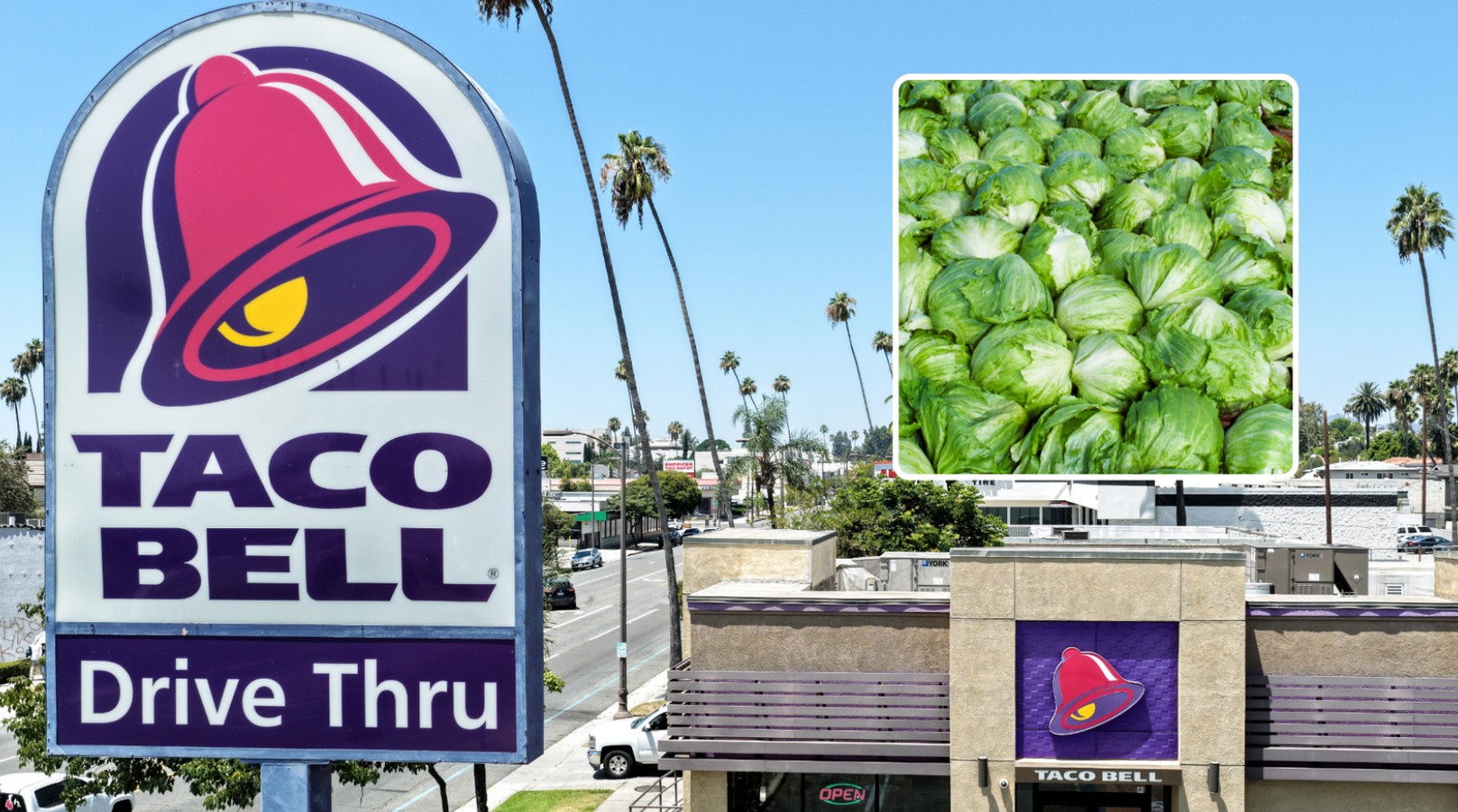 Updates on the cyclosporiasis outbreak, Taco Bell lettuce, and cases