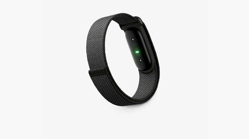 Google Fitbit Edge..